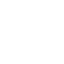 Stadt Zürich Logo